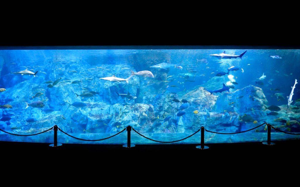 🐬 오이타 해양 궁전 수족관 '우미타마고' (오이타 마린파레스 스이조쿠칸 '우미타마고') 이미지 1